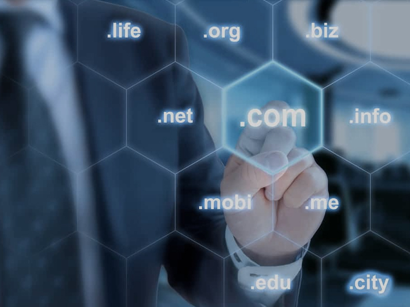 Domain Registration Services